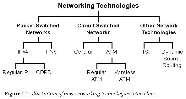 Figure 1.1